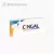 CINGAL, umplutură cu acid hialuronic, pentru susținerea flexibilității articulațiilor, 1 x 4 ml
