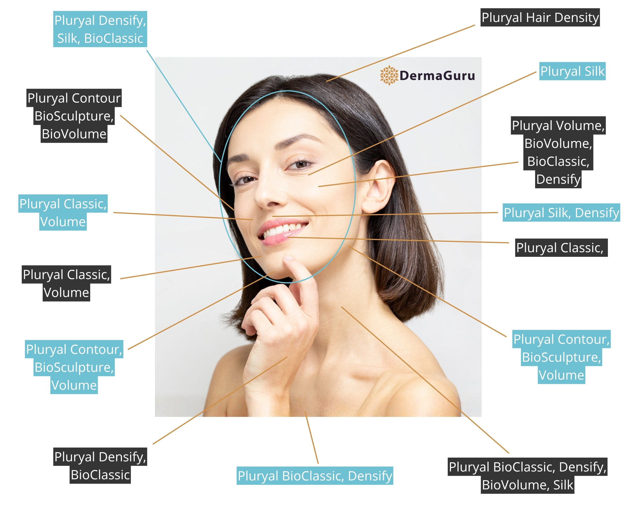 Hartă de indicații Pluryal